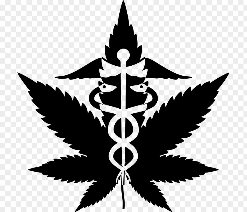 Cannabis Medical Medicine Pharmaceutical Drug Legalization PNG
