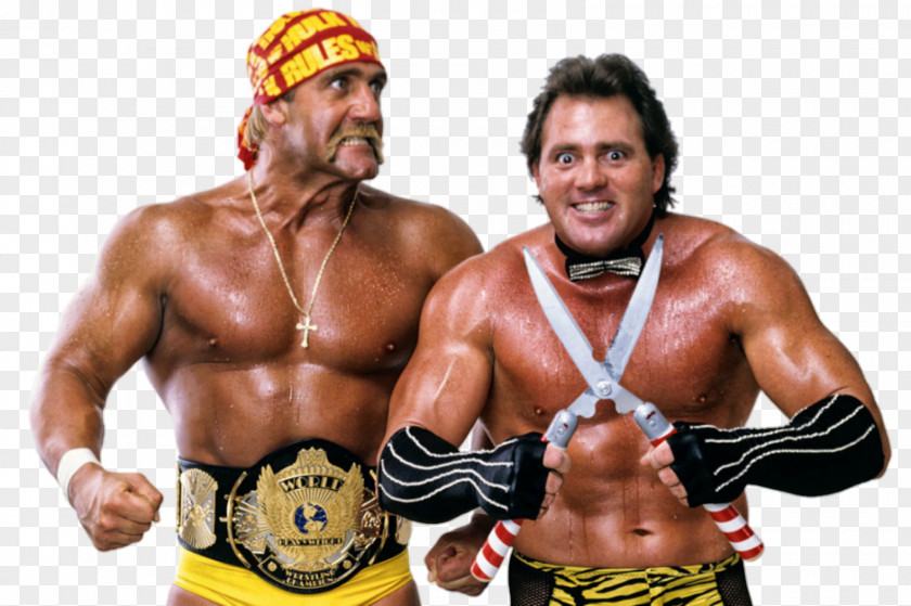 Hulk Hogan SummerSlam (1988) Feud Professional Wrestling PNG