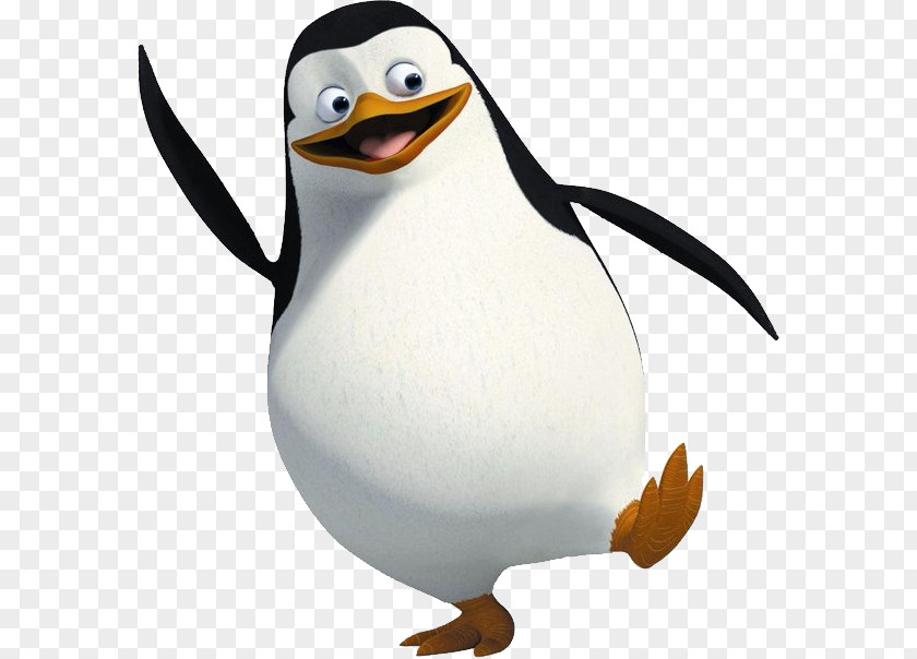 Madagascar Penguins DreamWorks Animation PNG