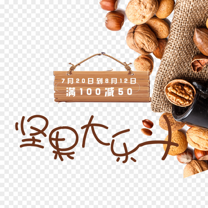 Nuts Nucule Food Icon PNG