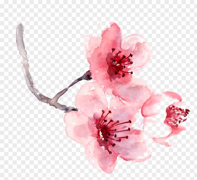 Watercolor Flowers Painting Pink PNG