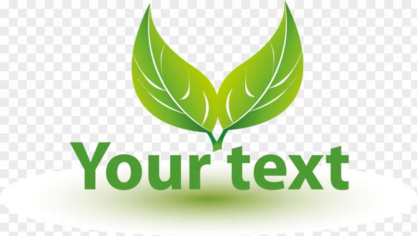 Green Leaves Picture Material Organization Text Drawing Illustration PNG
