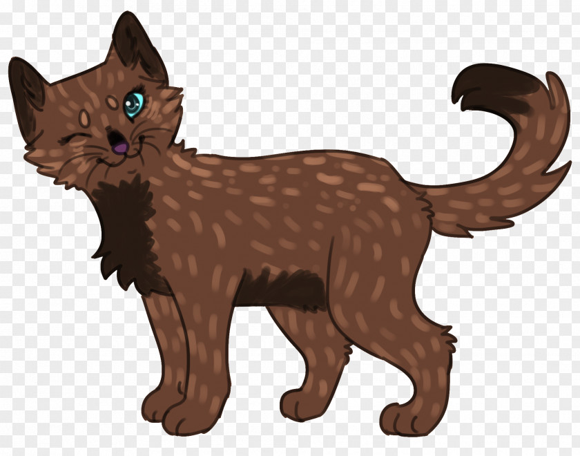 Kitten Whiskers Havana Brown Wildcat Domestic Short-haired Cat PNG