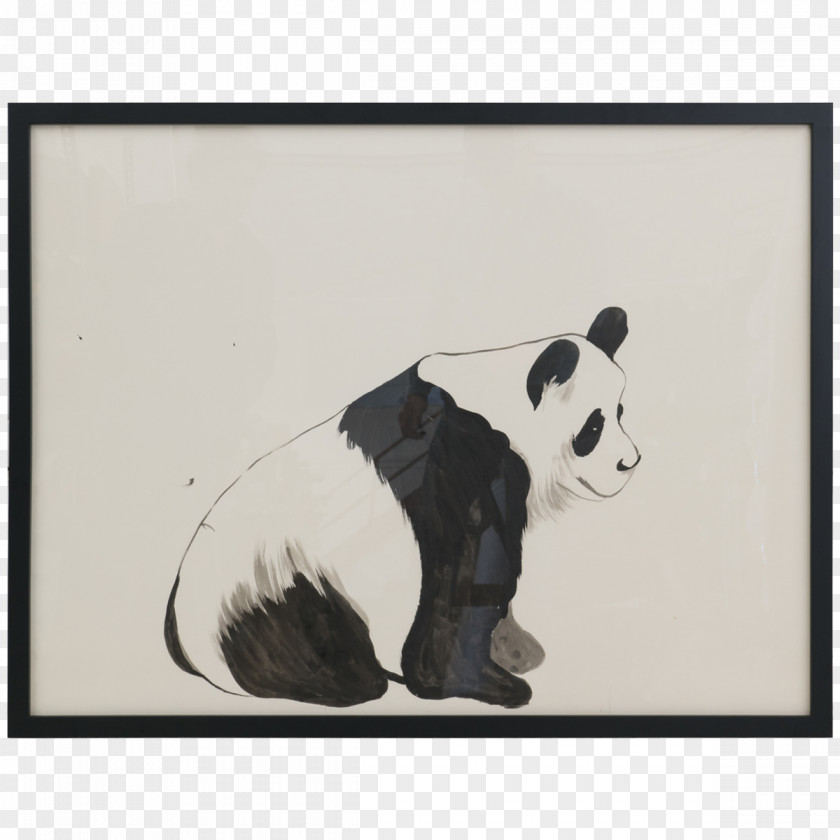 Panda Watercolor Cat Bear Giant Carnivora Animal PNG