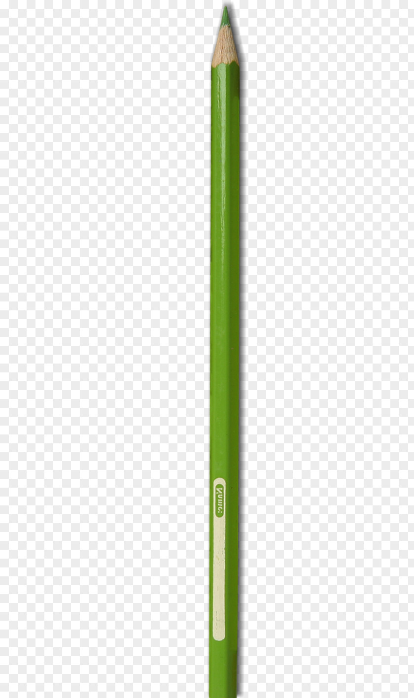 A Green Paint Pen PNG