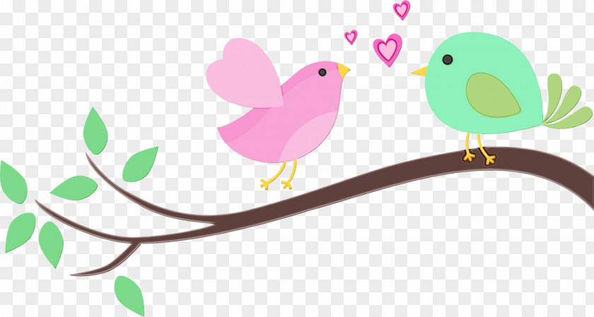 Parrot Sticker Bird Branch Clip Art Pink Beak PNG