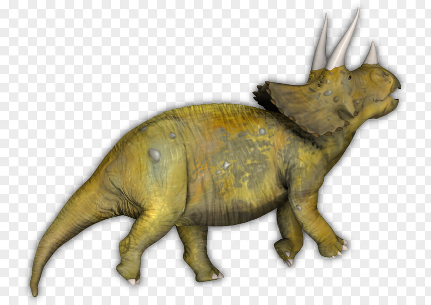 Triceratops Tyrannosaurus Terrestrial Animal Extinction PNG
