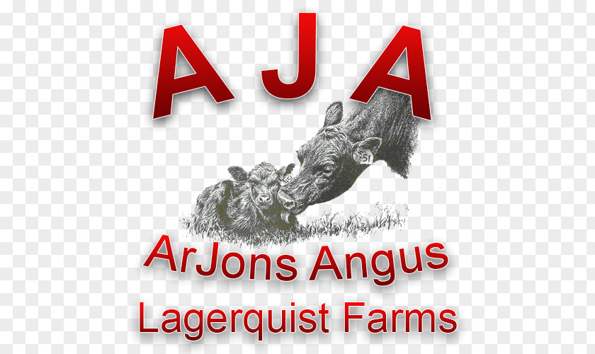 Angus Farms Cattle Calf Logo Font Brand PNG