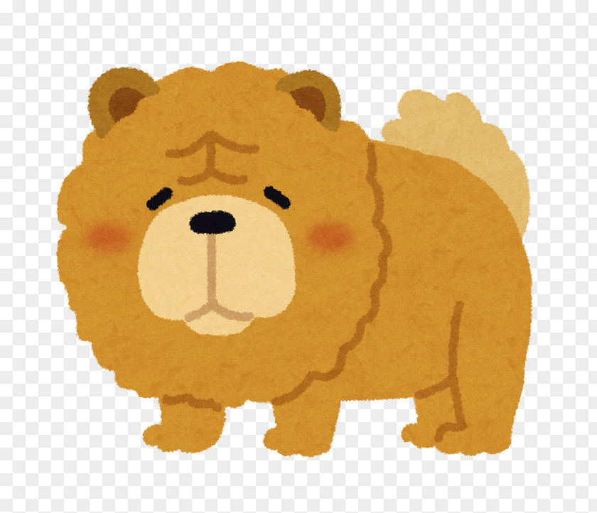 Chow Dog Puppy Pet PNG