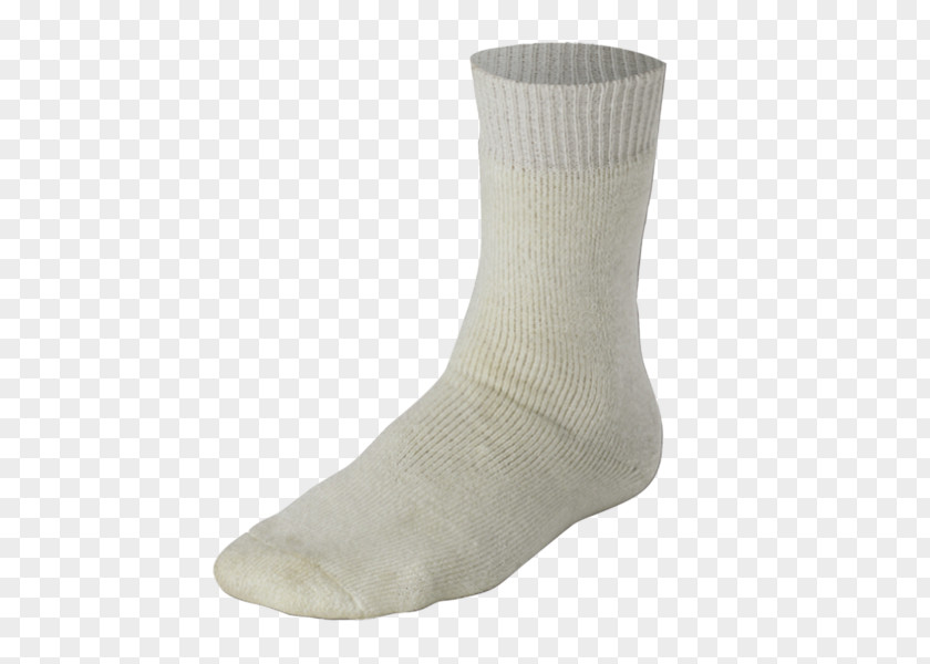 Cricket Sock Gray-Nicolls Clothing And Equipment PNG
