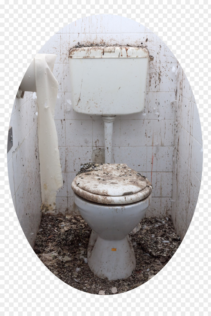 Dirty Public Toilet Bathroom Stock Photography Flush PNG