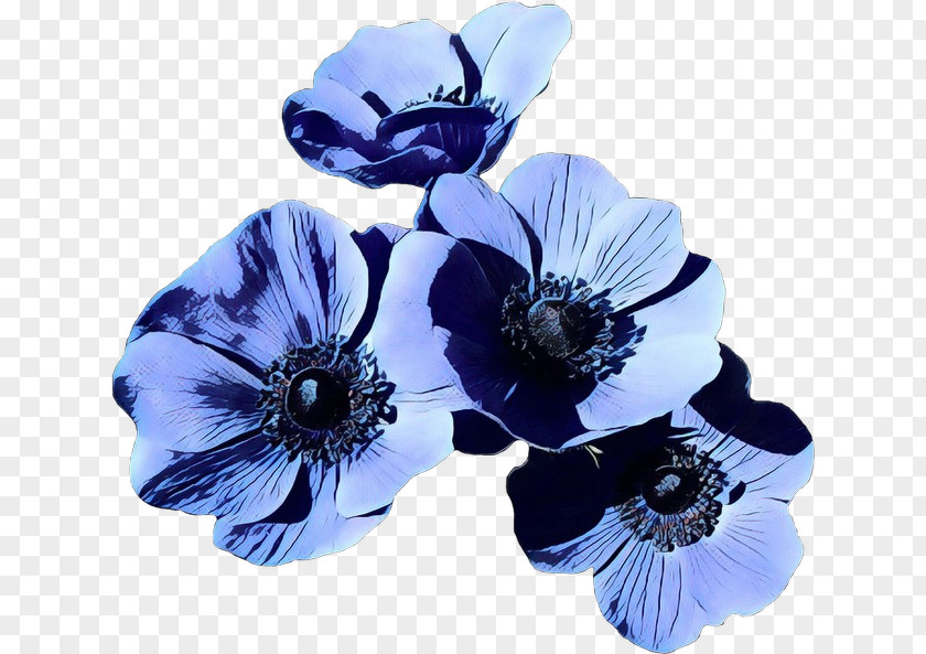 Hair Accessory Oriental Poppy Blue Flower Petal Cobalt Plant PNG