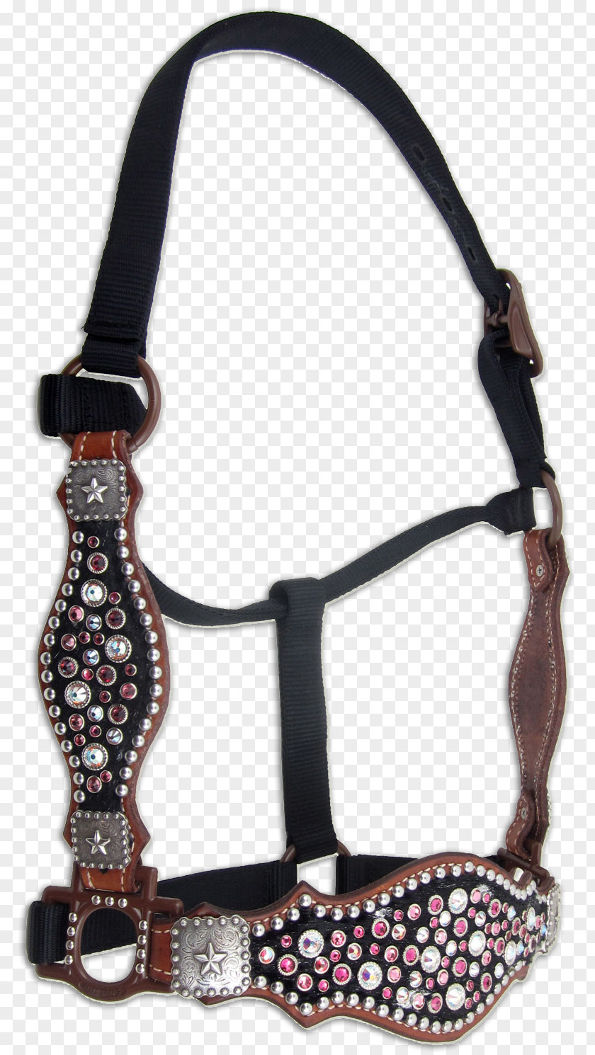 Horse Showmanship Halter Buckle Lead PNG