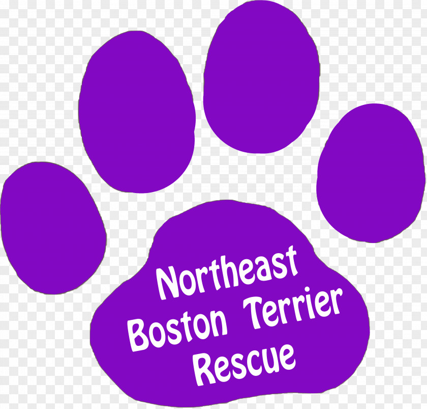 Northeast Boston Terrier Rescue Brand PNG