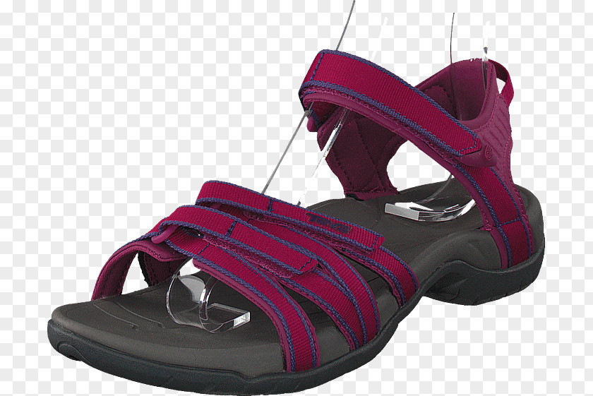 Sandal Shoe Shop Teva Sneakers PNG