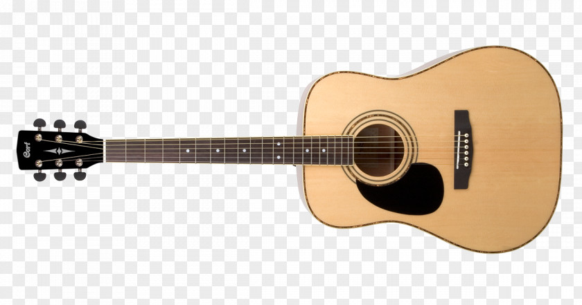 Acoustic Guitar Acoustic-electric Cort Guitars PNG