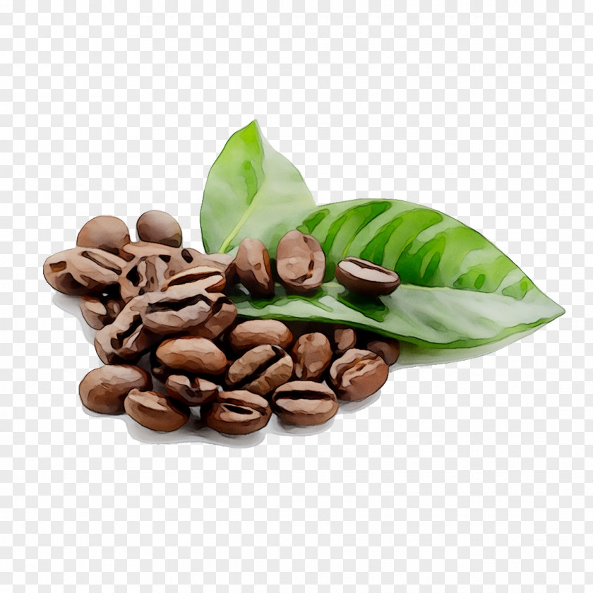 Coffee Bean Cafe Espresso Tea PNG