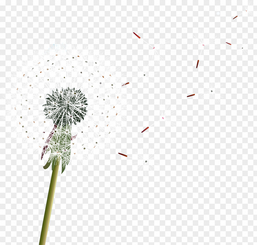 Dandelion Water Desktop Wallpaper Font Computer PNG