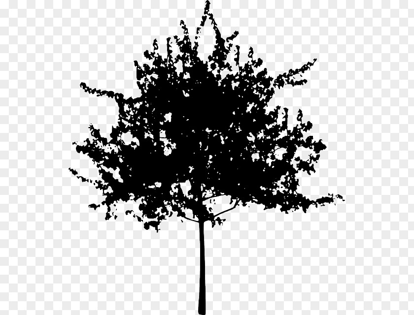 Green Fungus Cartoon Tree Silhouette Branch Clip Art PNG