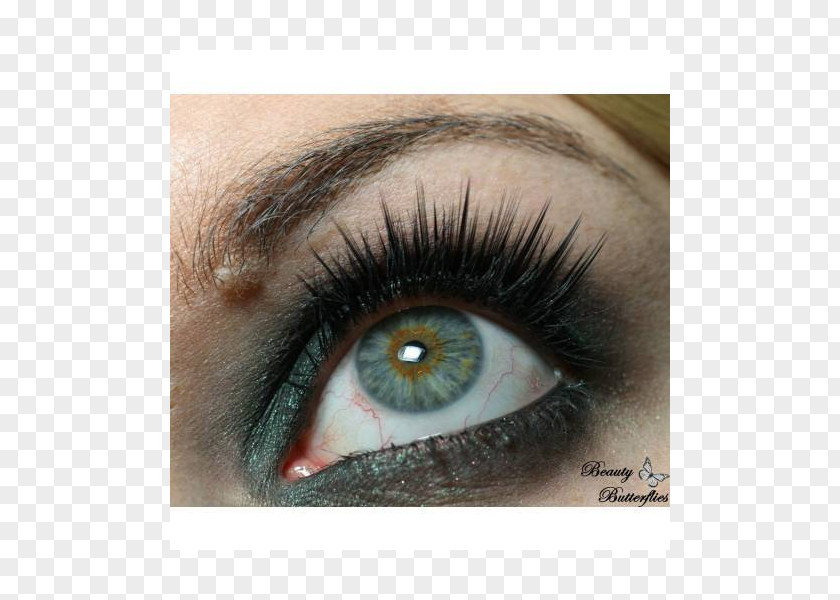 Lashes Eyelash Extensions Eye Shadow Cosmetics Liner PNG