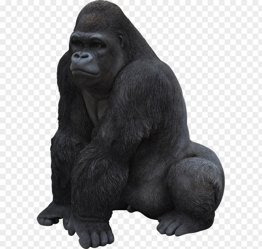 Monkey Chimpanzee Primate Western Gorilla Ape Garden Ornament PNG