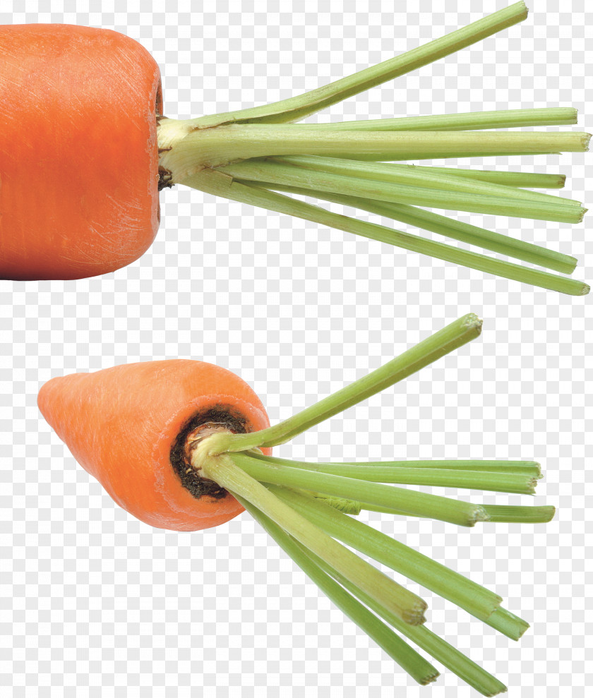 Carrot Image Vegetable Food Clip Art PNG