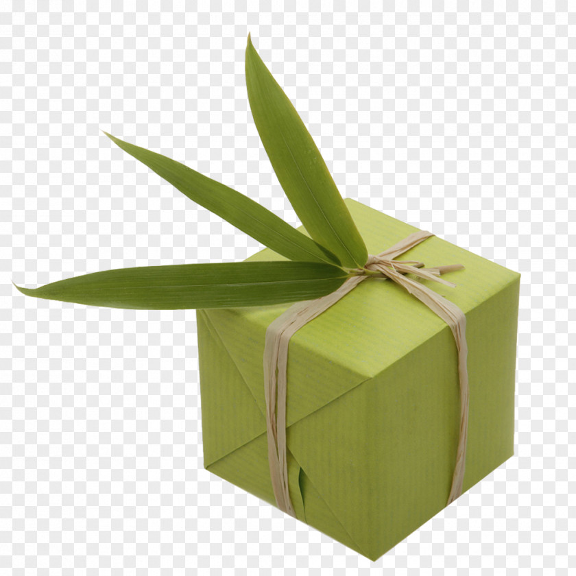 Gift Wrapping Card Environmentally Friendly Stock Photography PNG