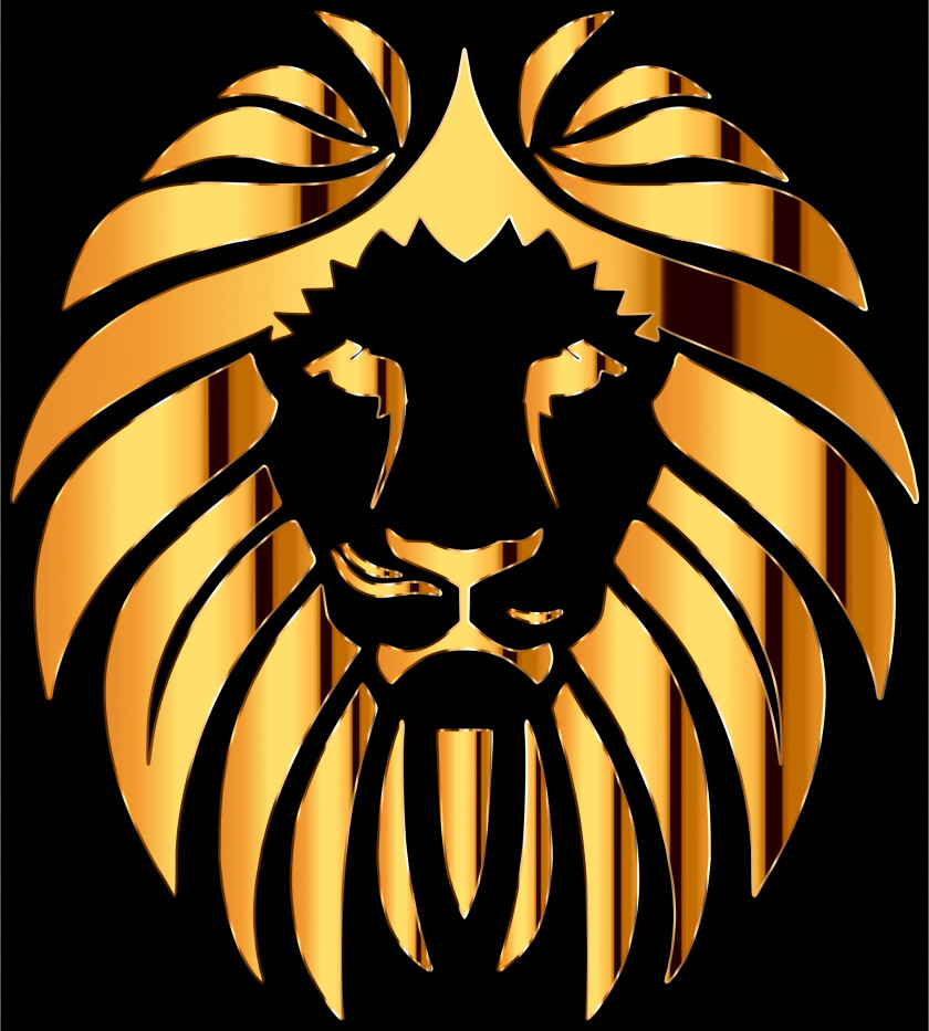 Lion Golden Felidae Tiger Clip Art PNG