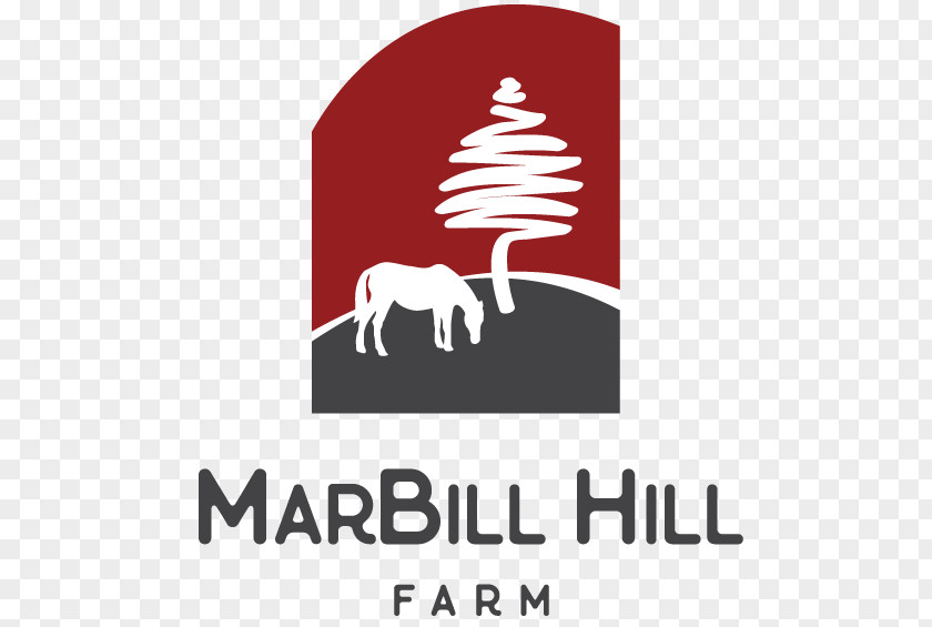 MarBill Hill Farm Schomberg Ontario Equestrian Horse PNG