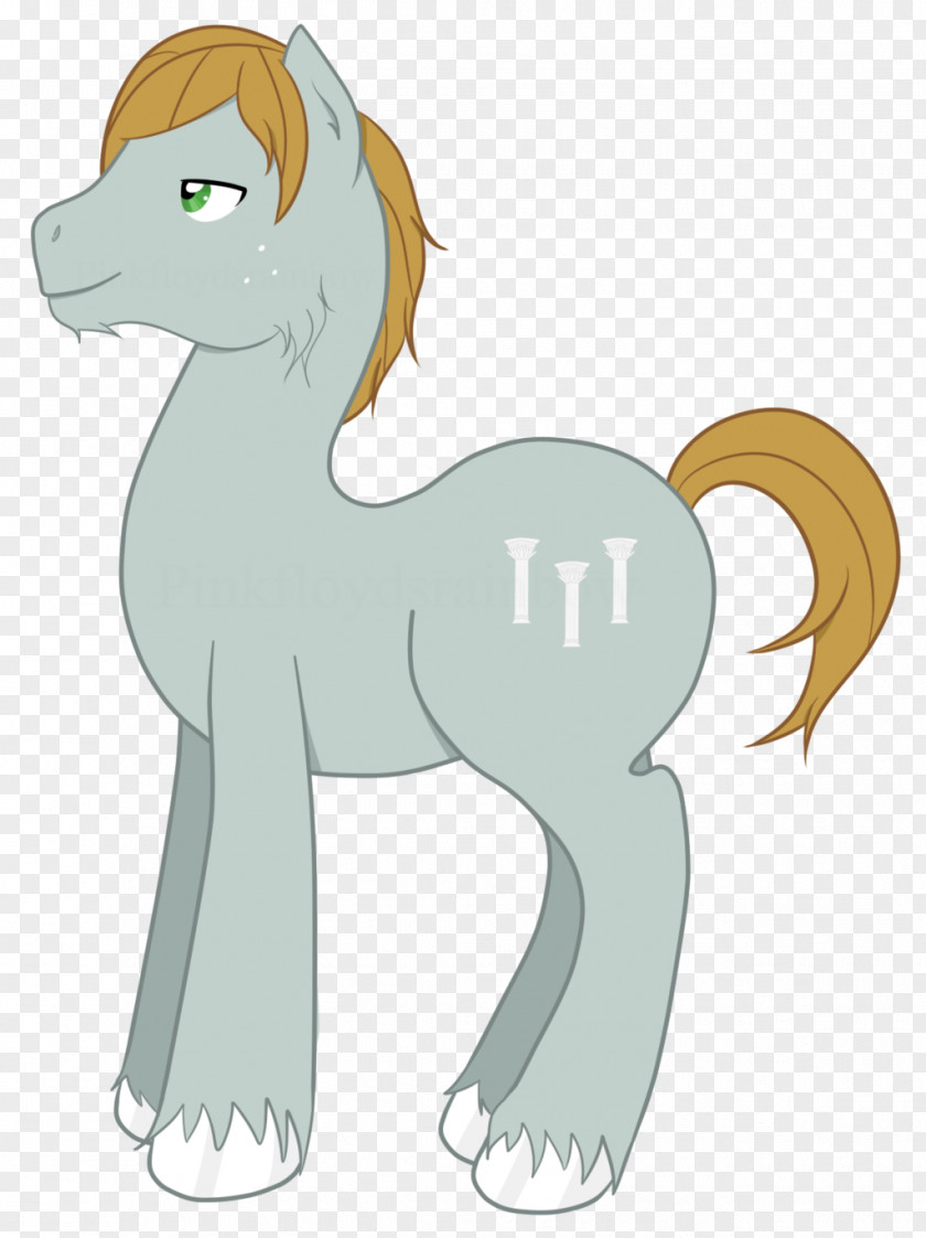 Mustang Pony Cat Canidae Dog PNG