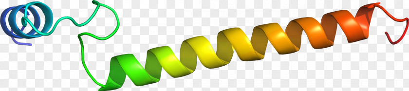Nwo Clip Art Logo Product Design Line PNG