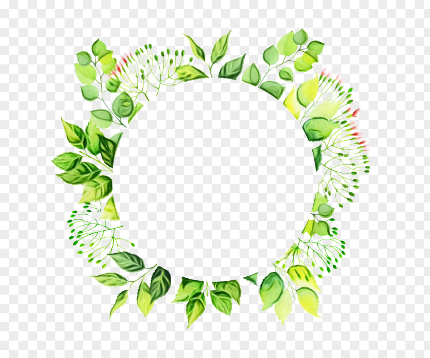 Oval Flower Green Leaf Watercolor PNG