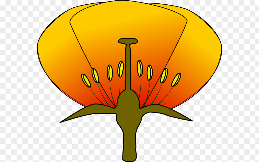 Unlabeled Flower Diagram Parts Of A Clip Art PNG