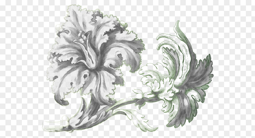 Wing Metal White Plant Flower Ornament Drawing PNG