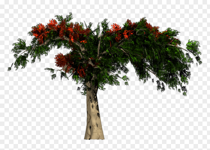 African Trees Rendering PNG