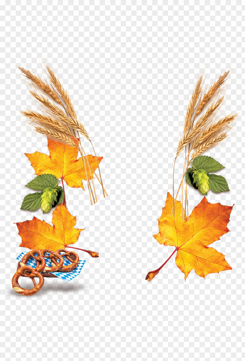 Autumn Harvest Joy Wheat Beer Leaf Yellow PNG