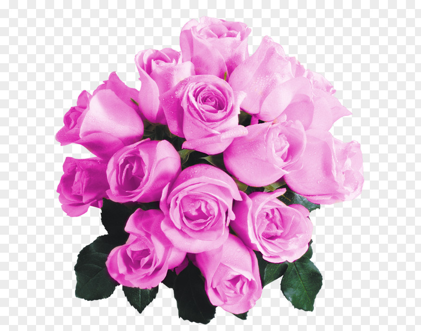 Bouquet Of Purple Roses Champagne Beach Rose Flower Red Yellow PNG