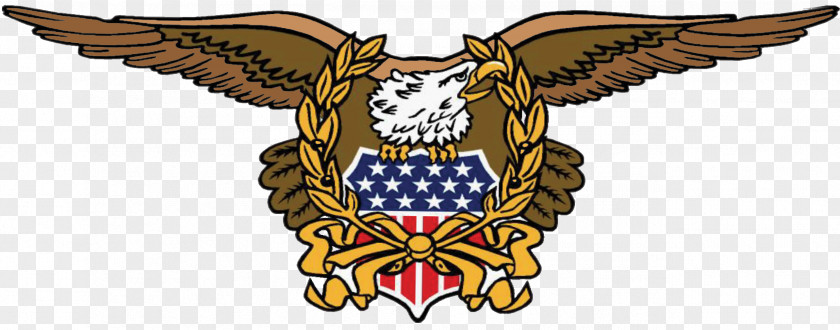 Eagle Albany Springfield Abate Of Illinois Symbol Clip Art PNG