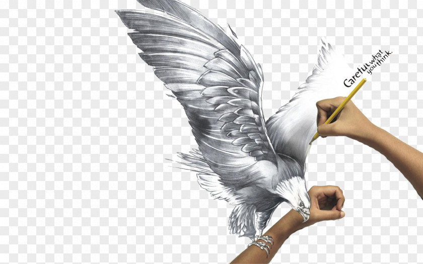 Hand-painted Eagle Drawing Painting Pencil Art Sketch PNG