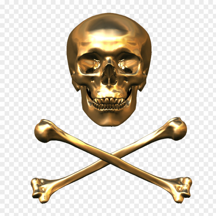 Hole Bones Skull & T-shirt Sticker PNG