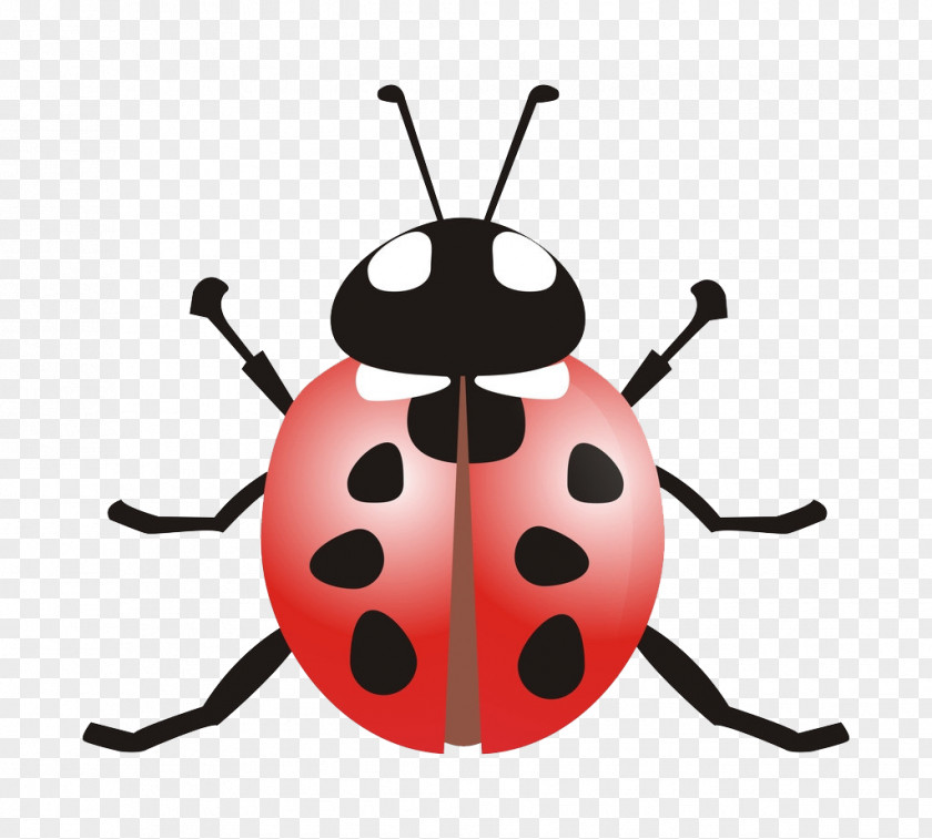 Ladybug Ladybird Beetle Coccinella Septempunctata Clip Art PNG