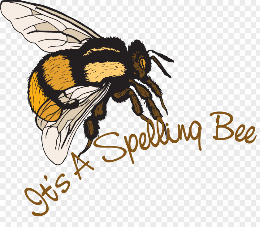 Spelling Bee Honey Clip Art PNG