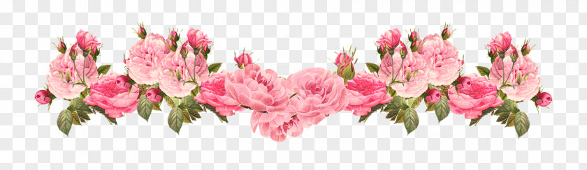 Vintage Pink Rose Border Flowers Clip Art PNG