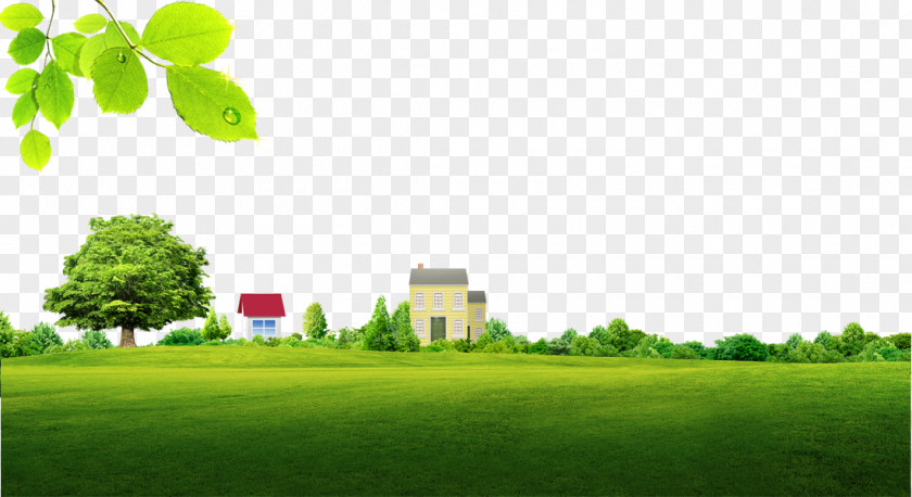 Background Material For Free Dig Grass Manor Green Wallpaper PNG