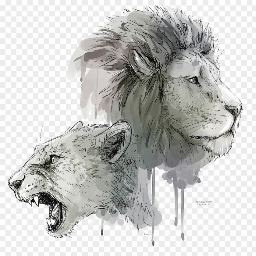 Lion Lion's Roar Cat Drawing PNG