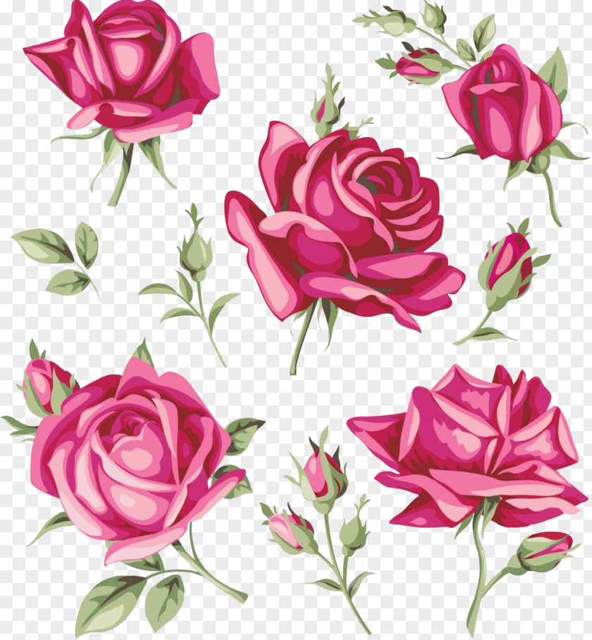 Watercolor Rose Flower Bud PNG