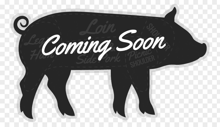 Pig Horse Logo Mammal Font PNG