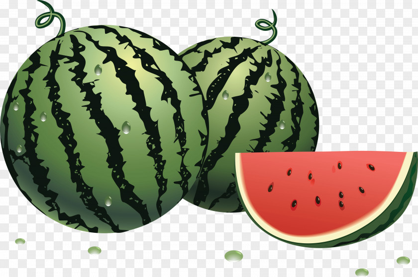 Watermelon Image Clip Art PNG