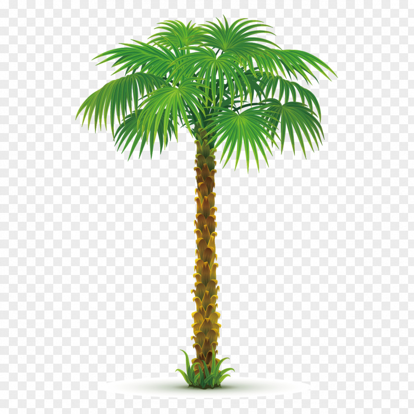 Creative Coconut Trees Arecaceae Tree Areca Palm Clip Art PNG