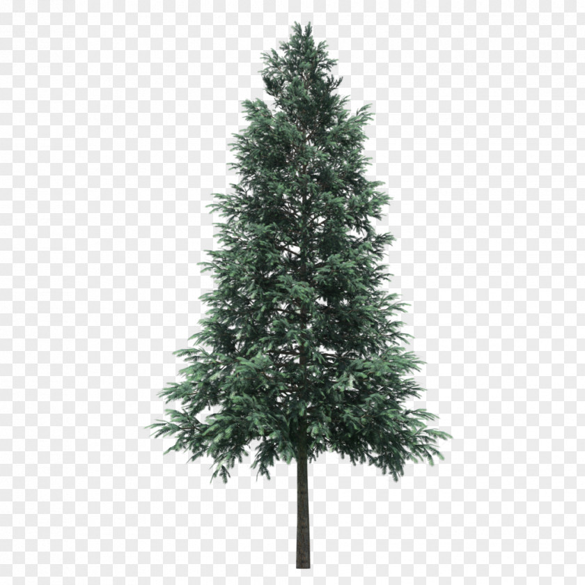 Green Trees Artificial Christmas Tree Day Pre-lit Conifer Cone PNG